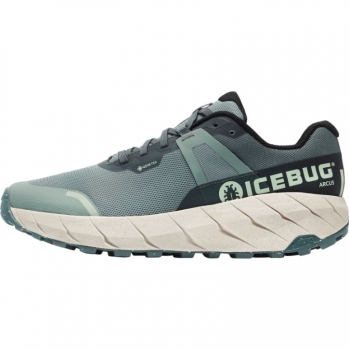 Icebug Arcus M RB9X GTX Herren