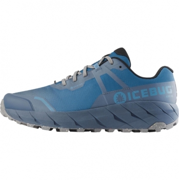 Icebug Arcus W RB9X GTX Herren 44 / saphire/stone