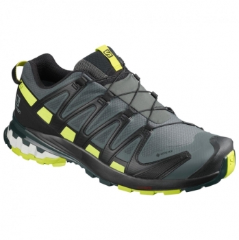 Salomon XA Pro 3D V8 GTX Herren 46 2/3 / Urban Chic-Black-Lime Punch