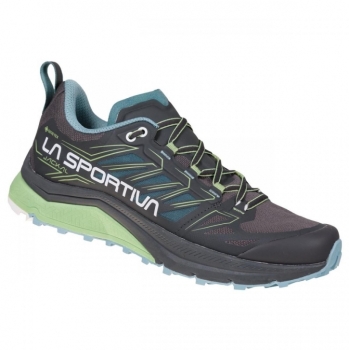 La Sportiva Jackal W`s GTX Damen 42 / grey/mint