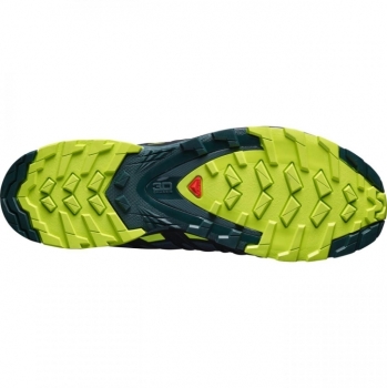 Salomon XA Pro 3D V8 GTX Herren 46 2/3 / Urban Chic-Black-Lime Punch