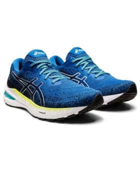 Asics GT-2000 10 MK Herren 42,5 / blau-gelb